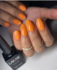 Color Gel 063