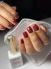 Color Gel 204